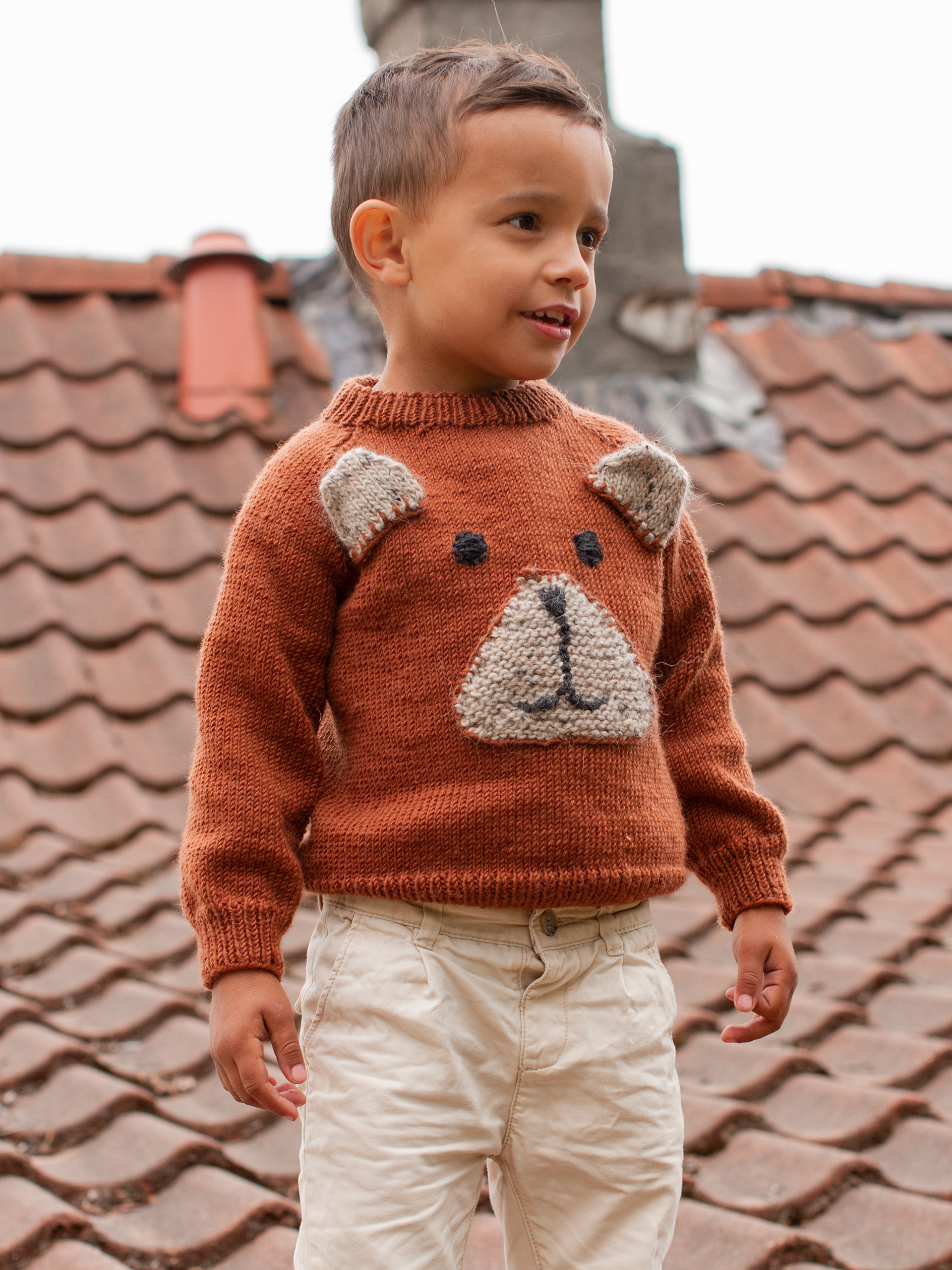 BJØRNAR Pullover rostbraun