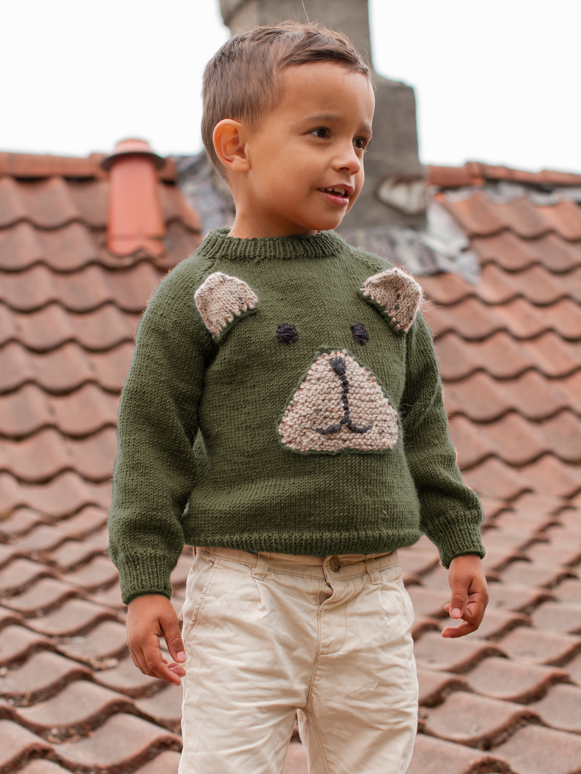 BJØRNAR Pullover dunkeloliv