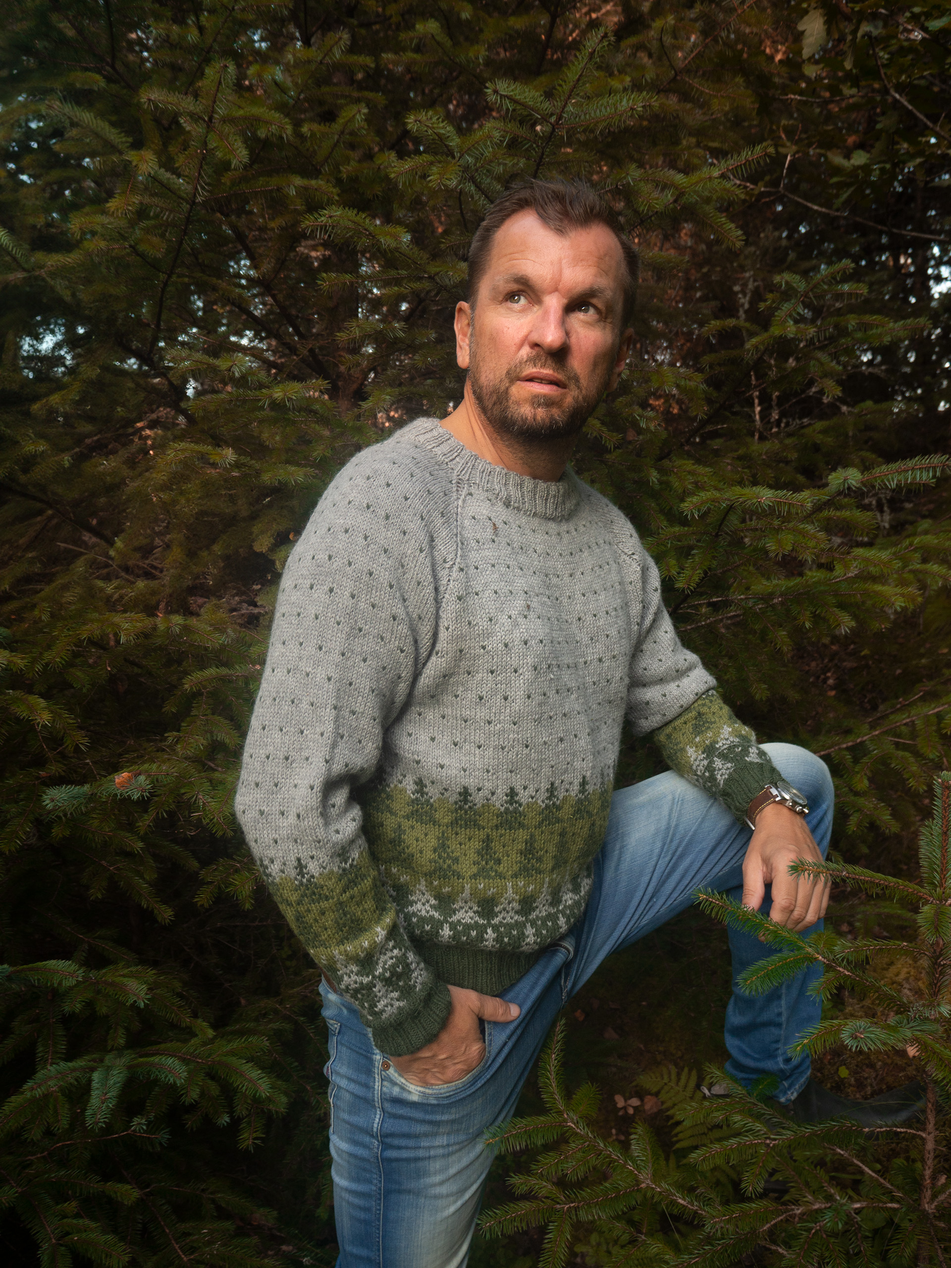 424K-04a PINEWOOD Herren Pullover 