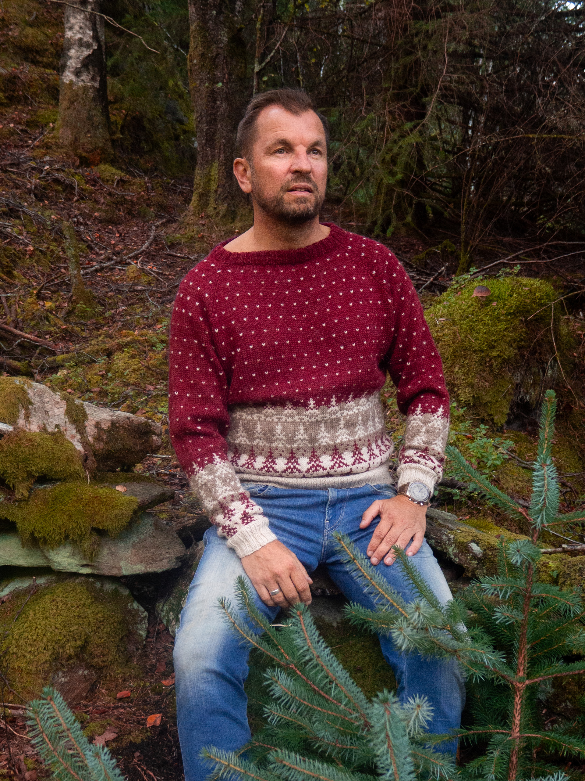 424K-04b PINEWOOD Herren Pullover