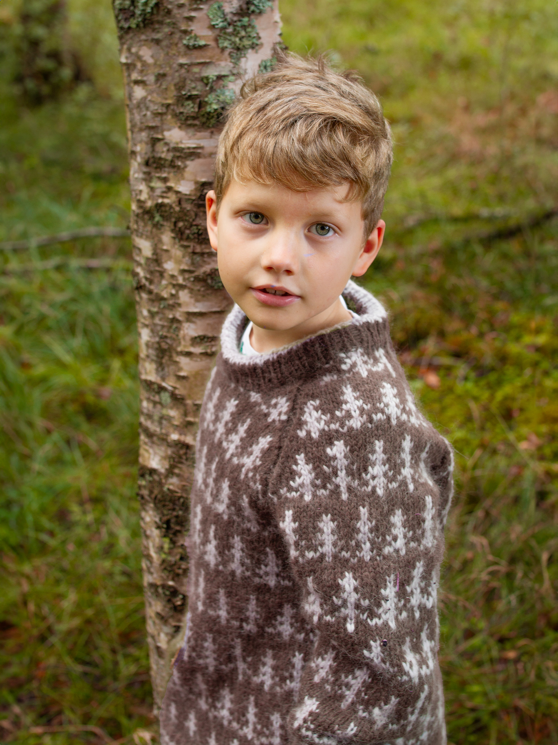 424K-11e&nbsp;TREETOP Kinder Pullover