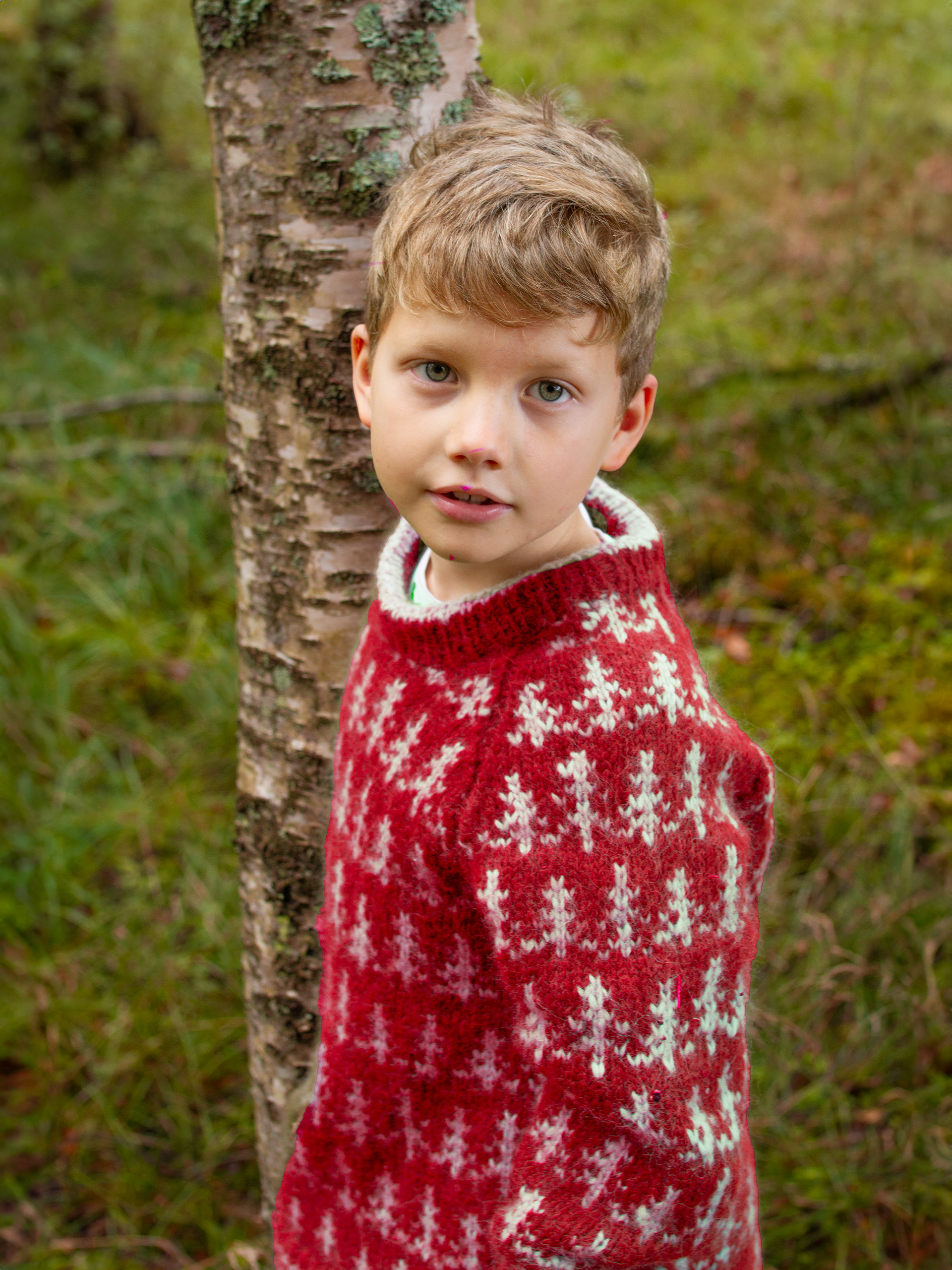 424K-11f&nbsp;TREETOP Kinder Pullover
