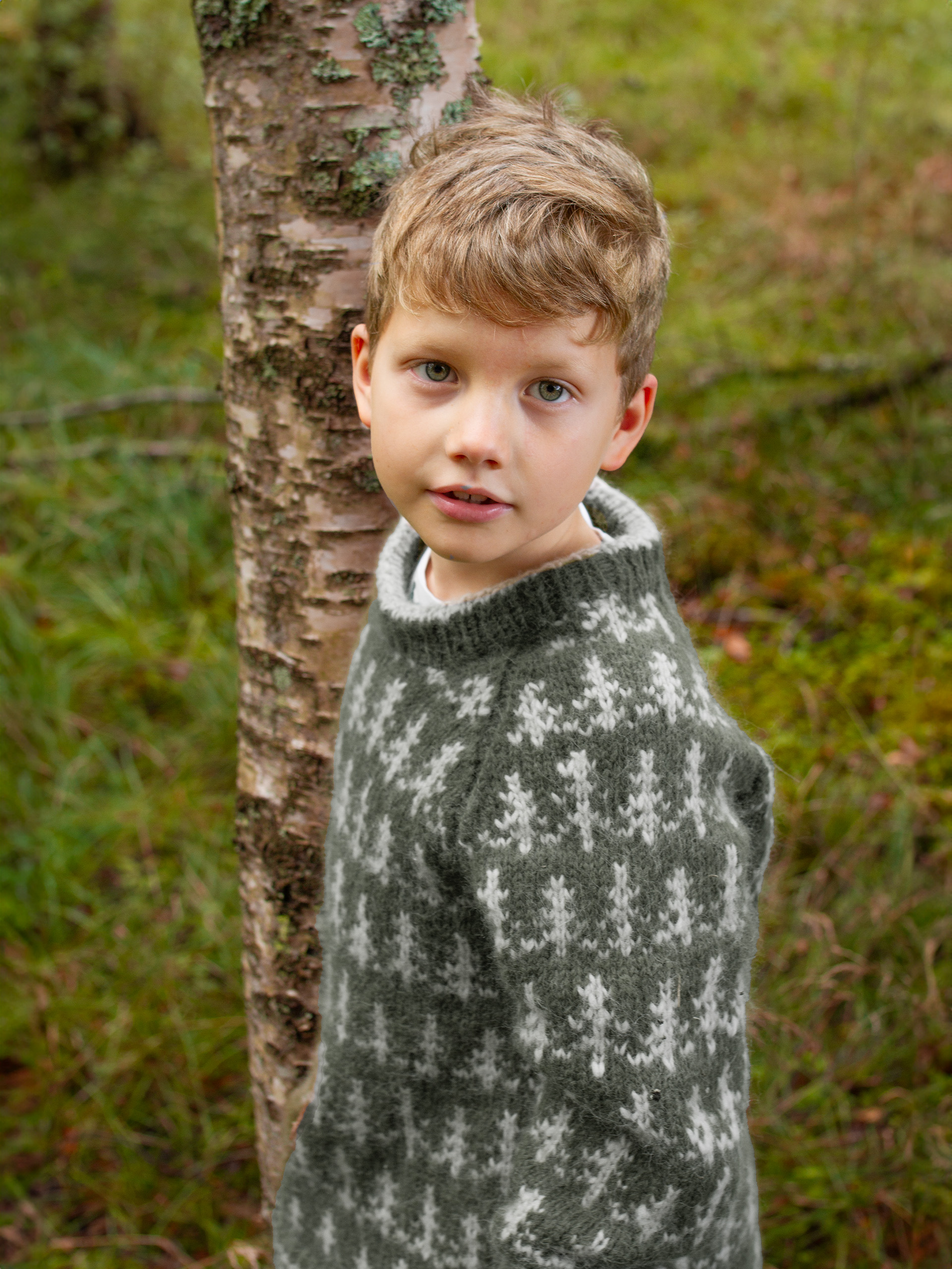 424K-11g&nbsp;TREETOP Kinder Pullover