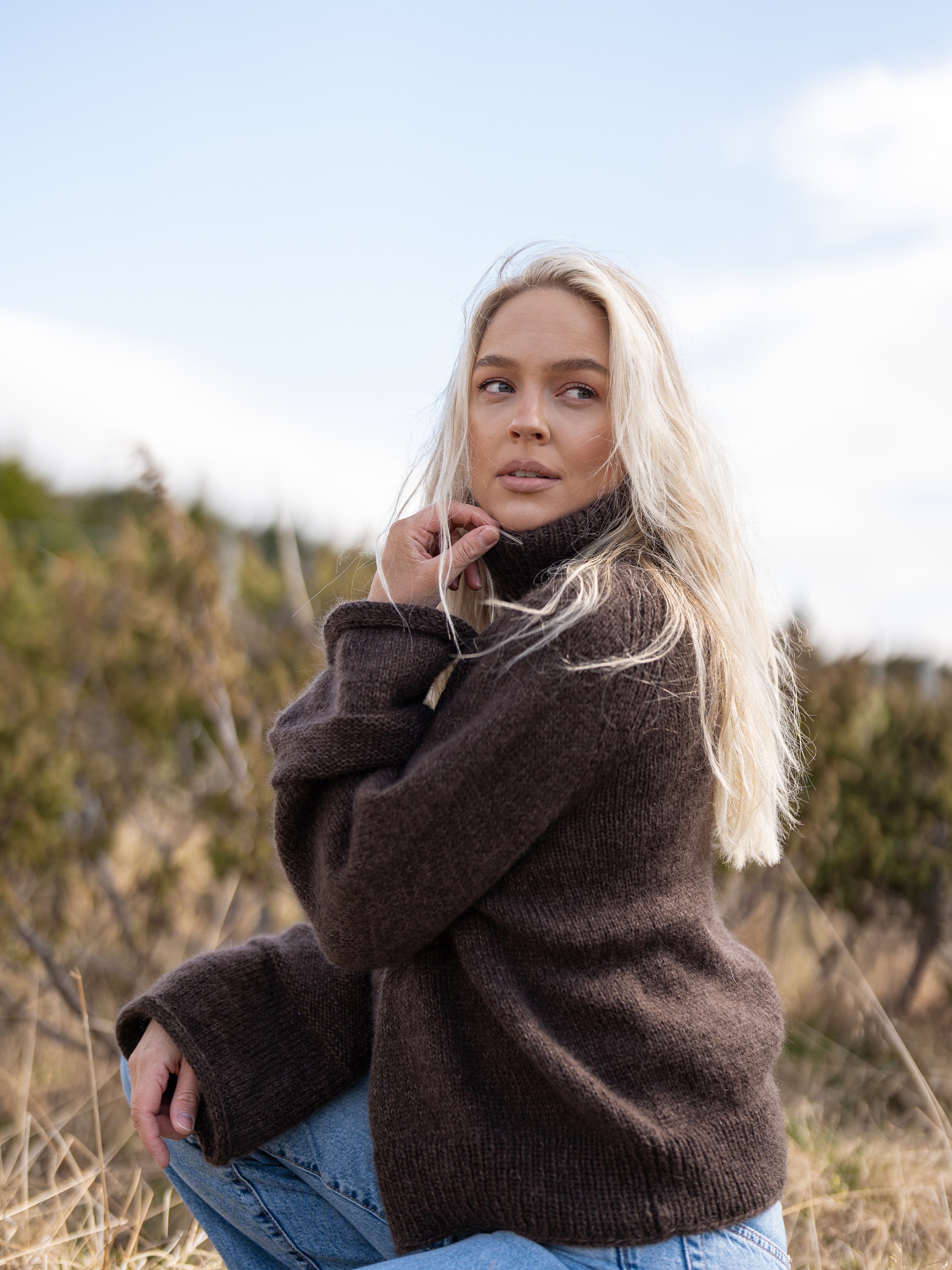 523V-02c Mjødurt Braun 